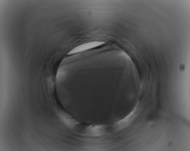 X0000100370186200807031910