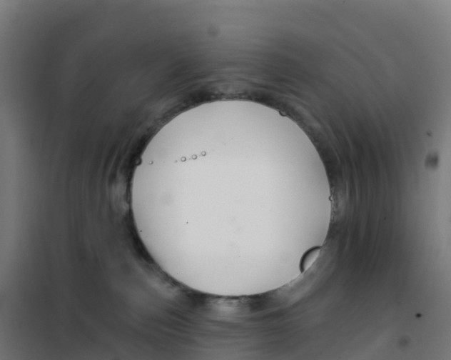 X0000100370187200807031910