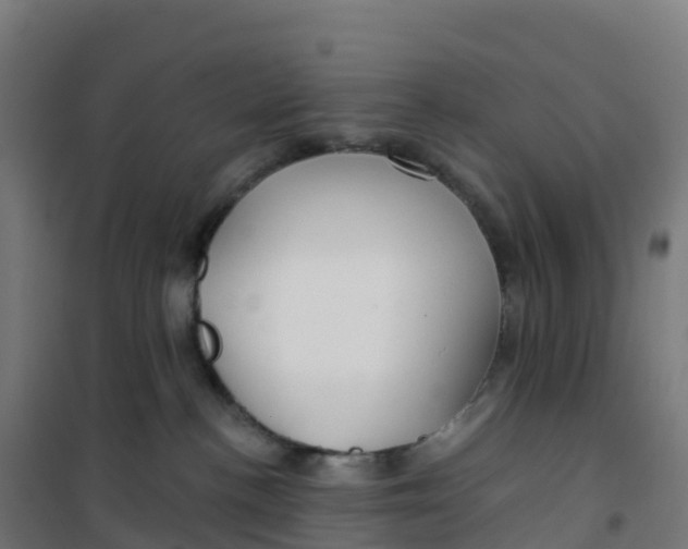 X0000100370188200807031910