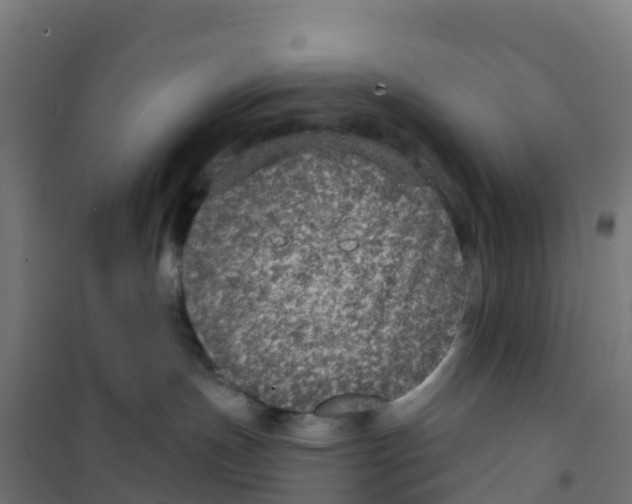 X0000100370191200807031910