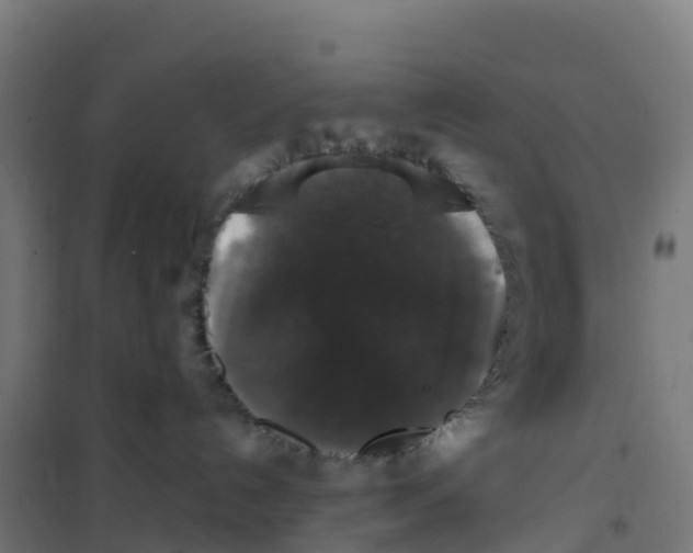 X0000100370192200807031911