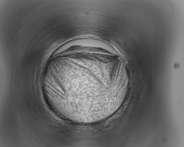 X0000100370193200807031910