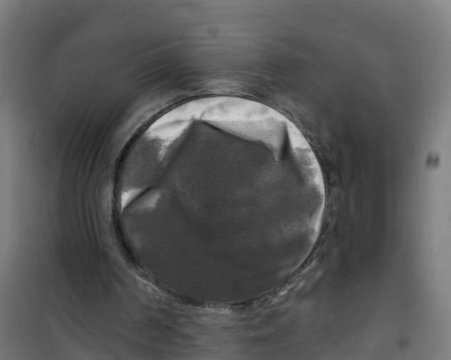 X0000100370194200807031910