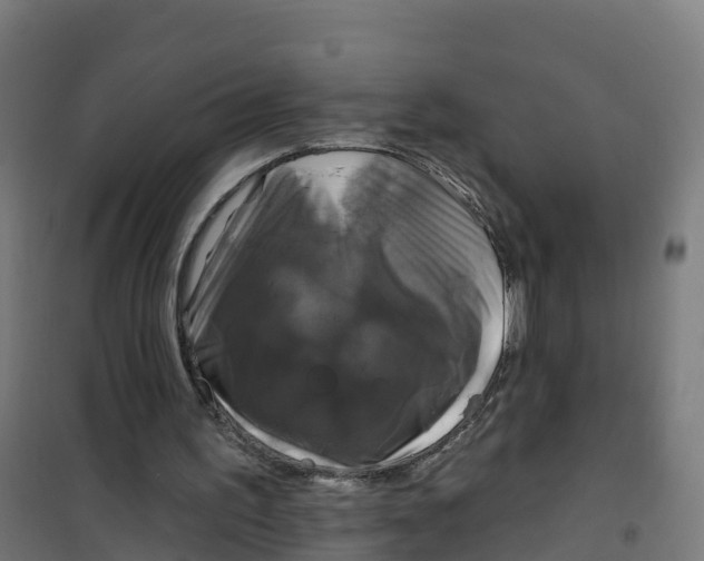 X0000100370195200807031910