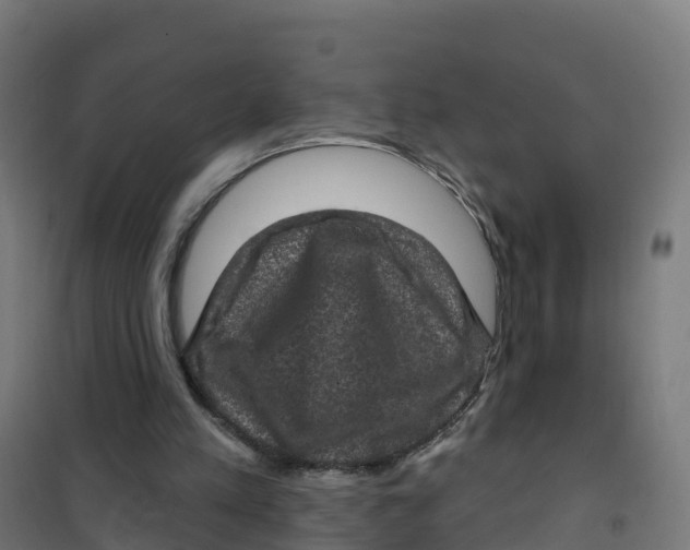 X0000100370197200807031910