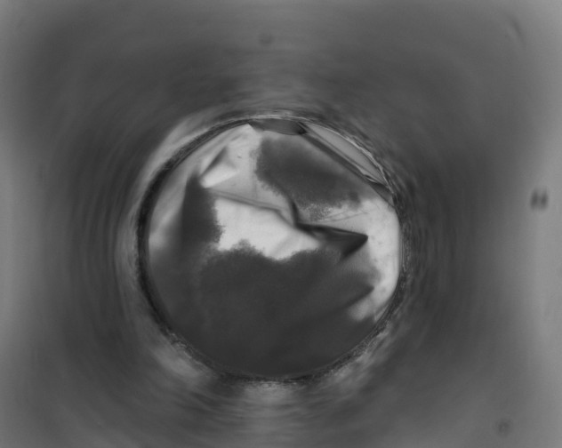 X0000100370198200807031910