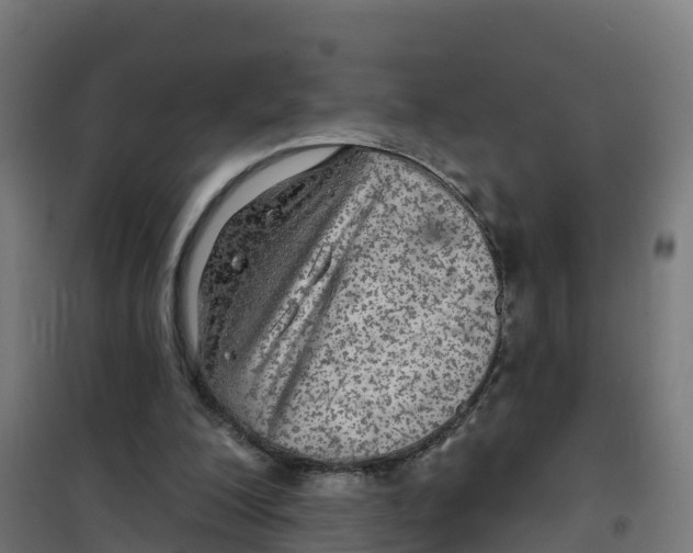 X0000100370200200807031910