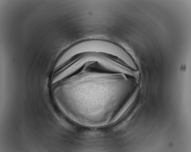 X0000100370201200807031910