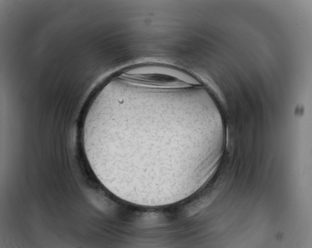 X0000100370204200807031910