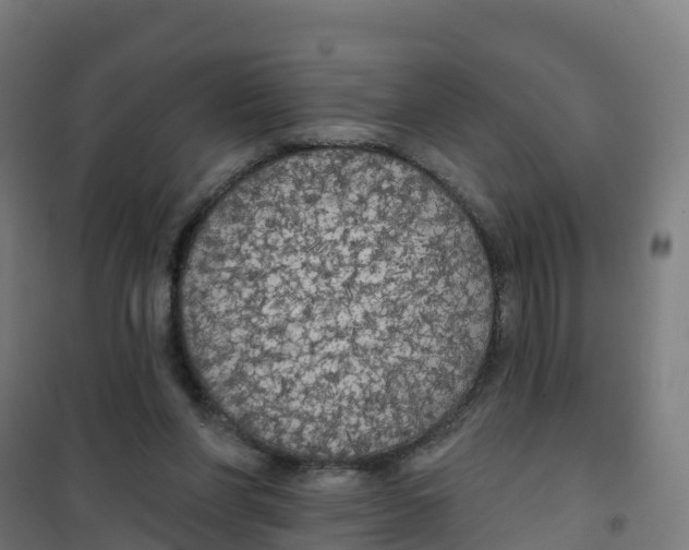 X0000100370206200807031910