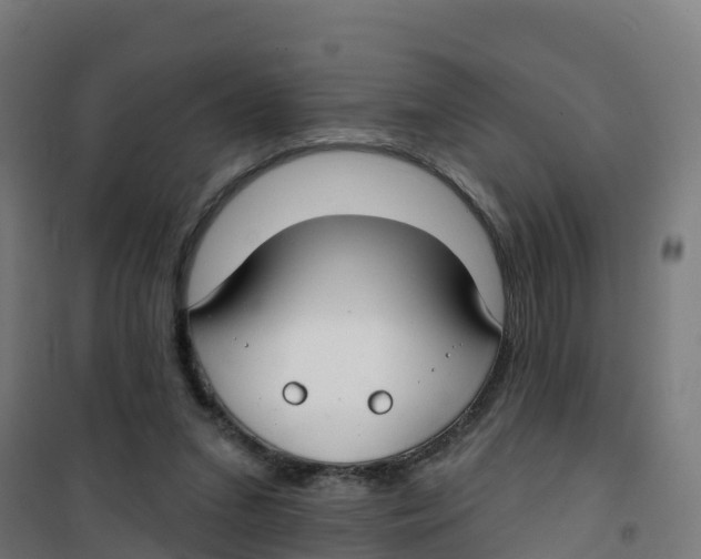 X0000100370207200807031910