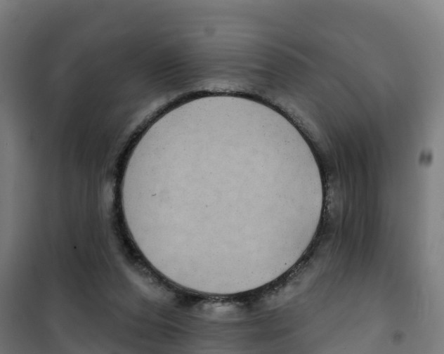 X0000100370208200807031910