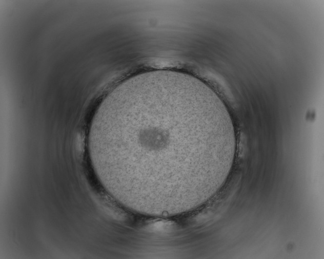 X0000100370210200807031910