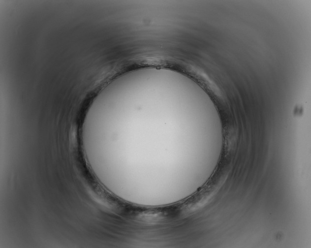 X0000100370213200807031910