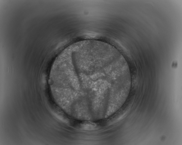 X0000100370215200807031910