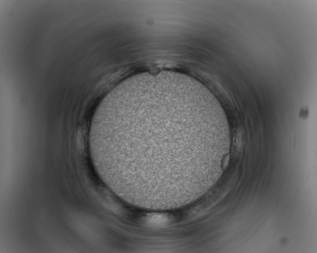 X0000100370218200807031909