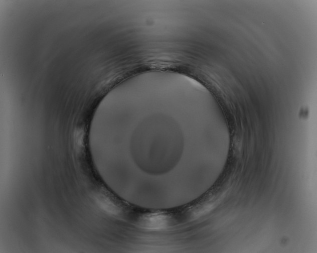 X0000100370219200807031909