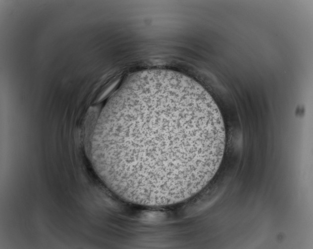 X0000100370220200807031909