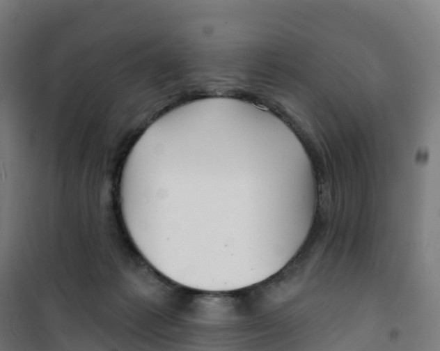 X0000100370221200807031909