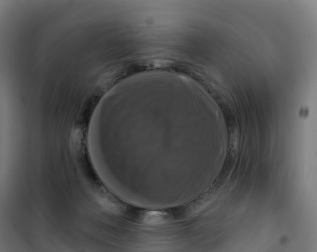 X0000100370222200807031909