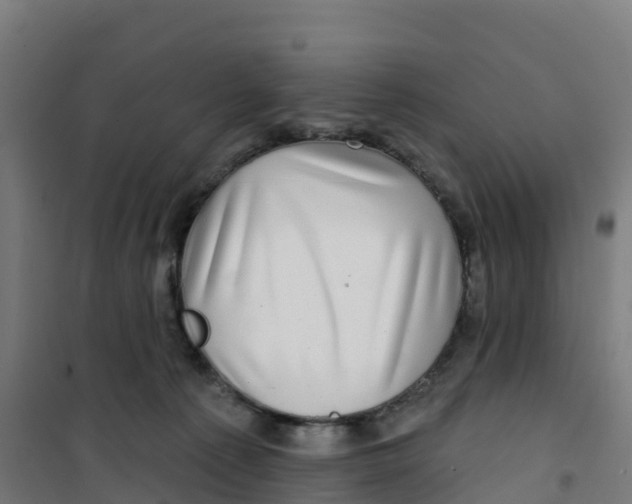 X0000100370225200807031909