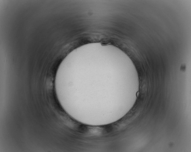 X0000100370226200807031909