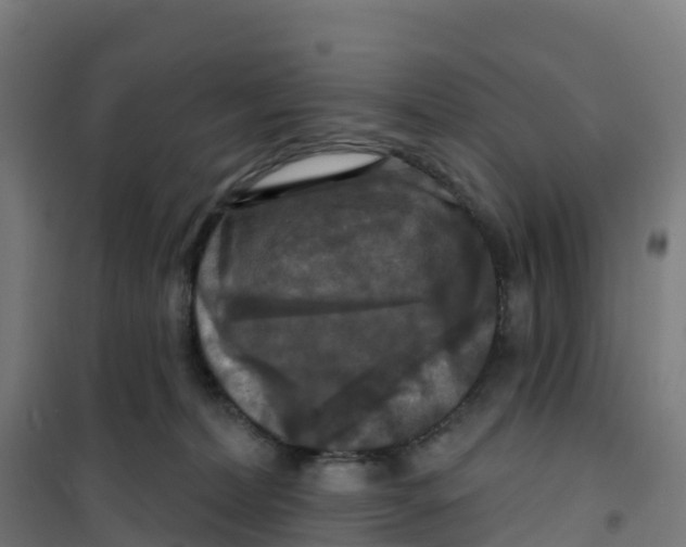 X0000100370228200807031909