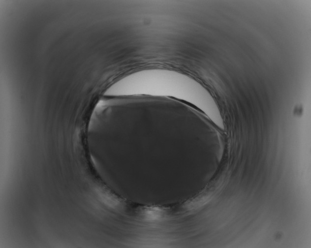 X0000100370229200807031909