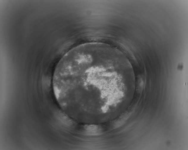 X0000100370230200807031909