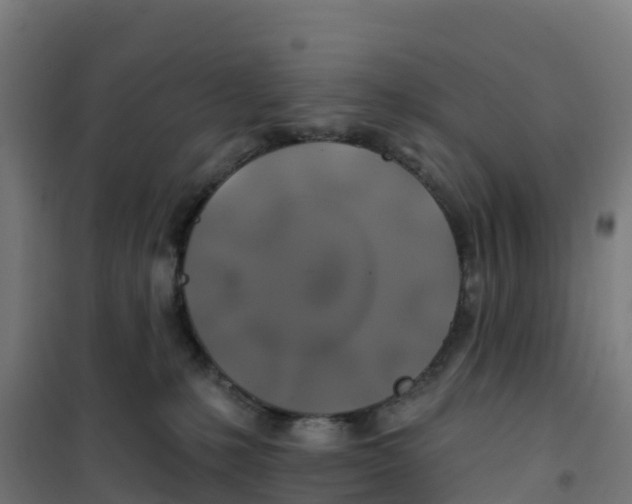 X0000100370231200807031909