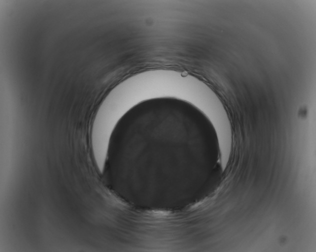 X0000100370233200807031909