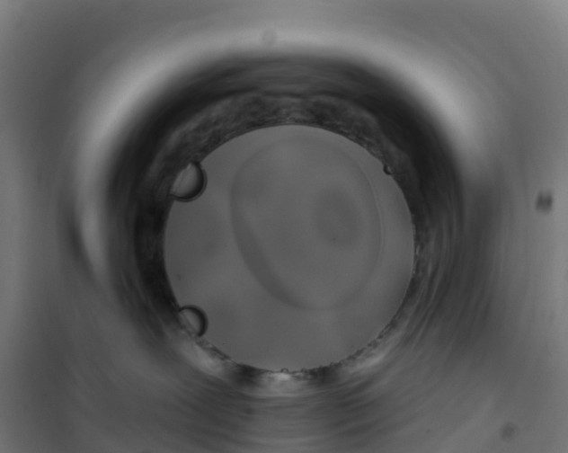 X0000100370239200807031909