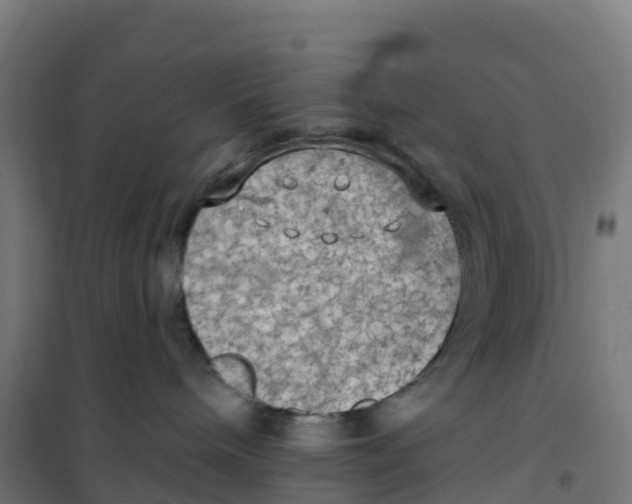 X0000100370240200807031909