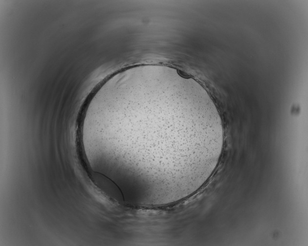 X0000100370242200807031909