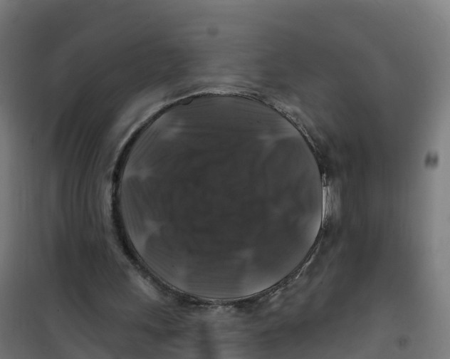 X0000100370243200807031909