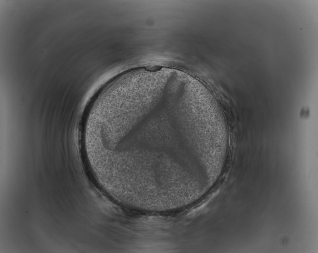 X0000100370244200807031909