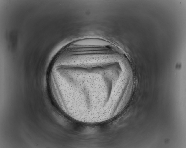 X0000100370248200807031909