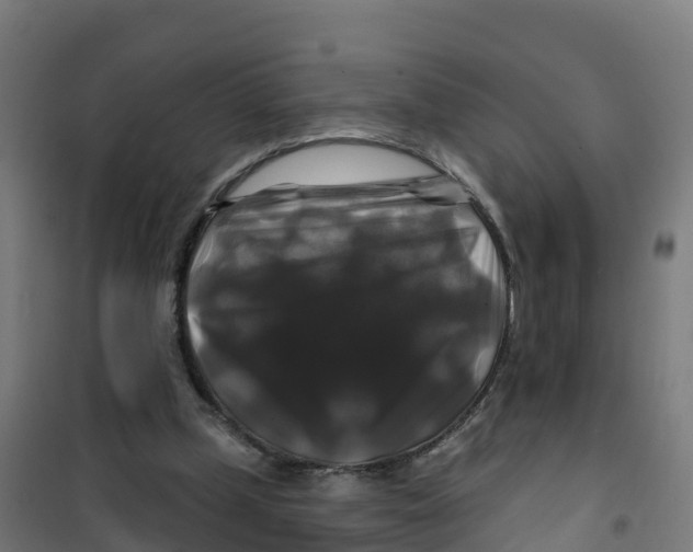 X0000100370249200807031909