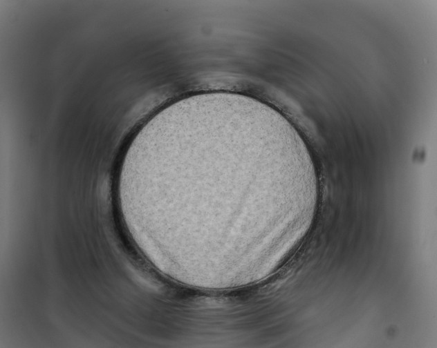 X0000100370250200807031909