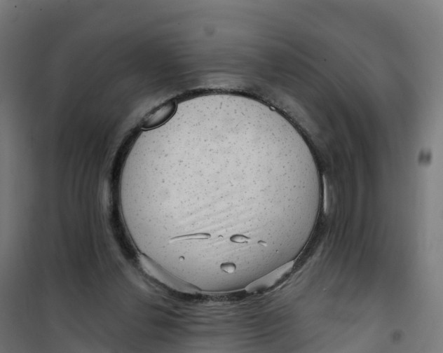 X0000100370252200807031909