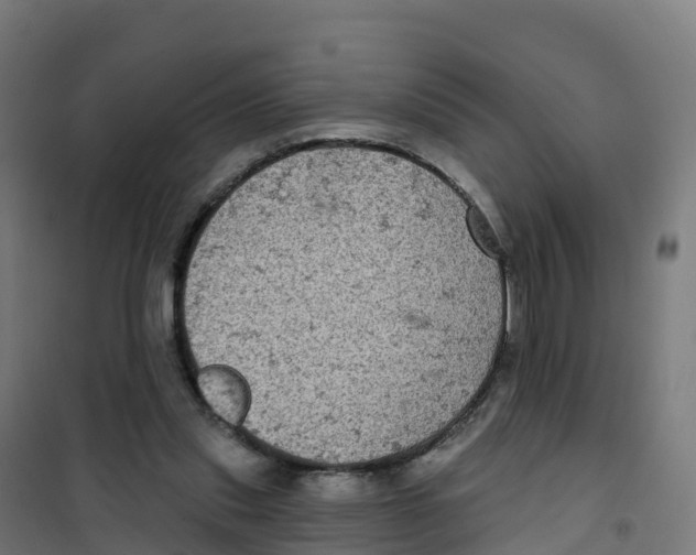 X0000100370253200807031909