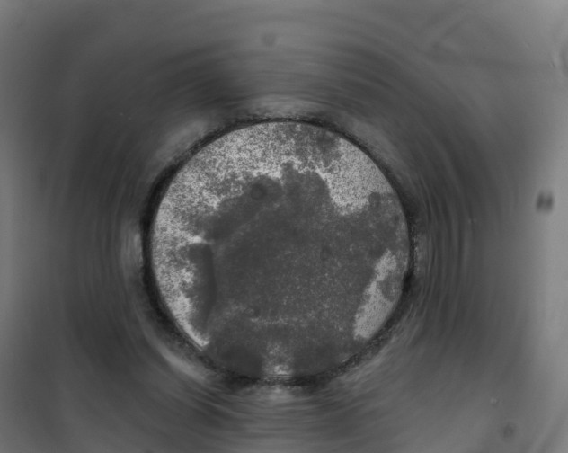 X0000100370254200807031909