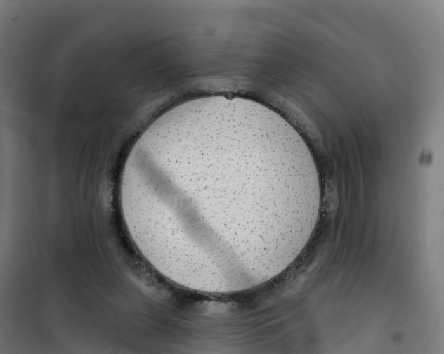 X0000100370255200807031909