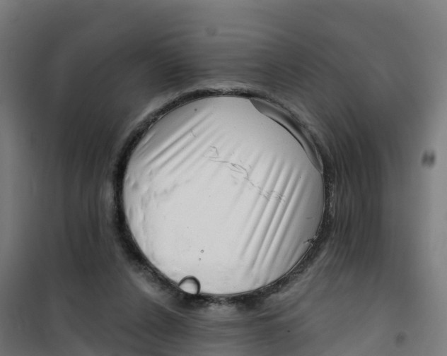 X0000100370256200807031909