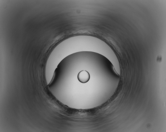 X0000100370260200807031909