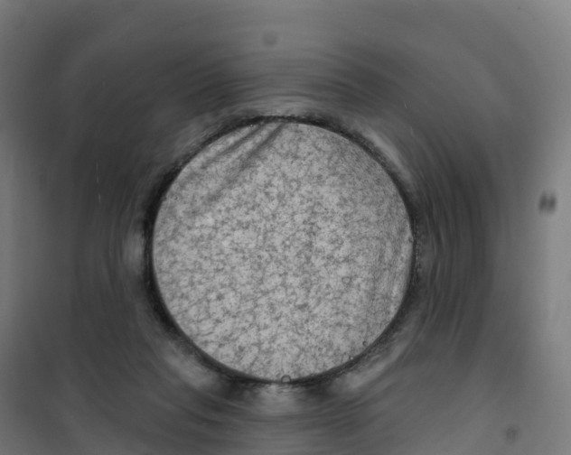 X0000100370261200807031909