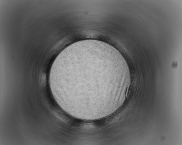 X0000100370262200807031909