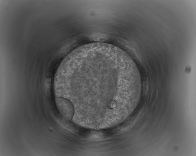 X0000100370263200807031909