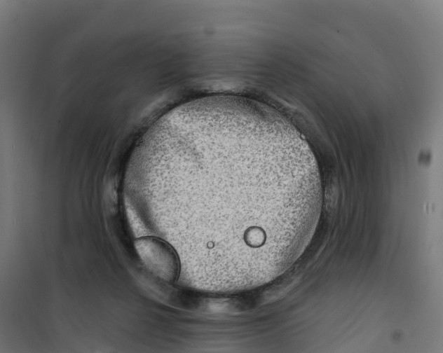 X0000100370264200807031909