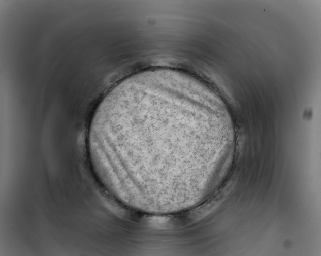 X0000100370265200807031909